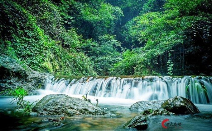 探索汽车烧机油该怎么办?的精彩世界-汽车烧机油该怎么办?红迪网